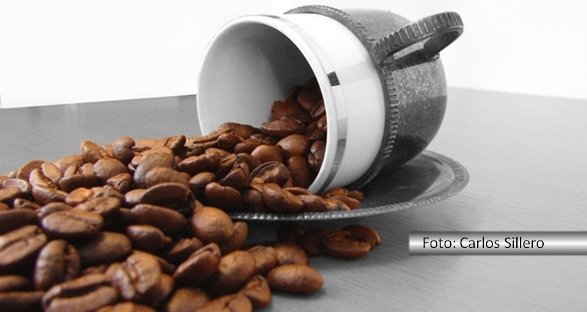 Fernando Albrecht publica fotos de grãso de café junto a uma xícara belíssima