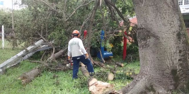 Fernando Albrecht fala do bom exmeplo da Riograndense disponibilizar mão de obra para ajuda no recolhimento de árvores derrubadas pelo temporal em Porto Alegre