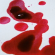 Manchas de sangue sobre um tecido branco.