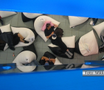 Pessoas dormindo em poltronas especiais em foto aérea