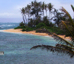 Praia de turismo no Havaí