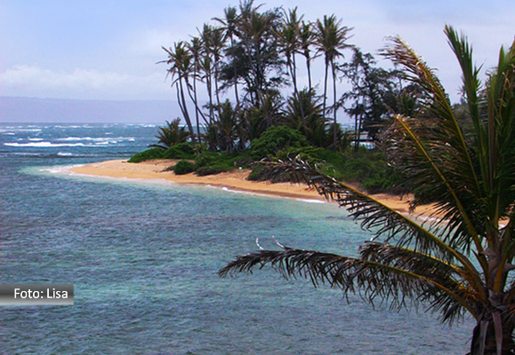 Praia de turismo no Havaí