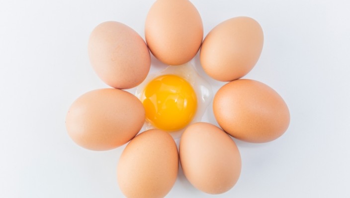 círculo formado por ovos e um ovo aberto ao meio.